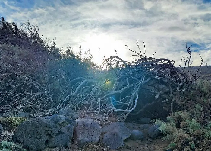 Feriehus Viento De Sal Mazo